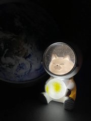 Night light Cat Astronaut