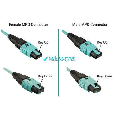 Adapter MPO, SM, Simplex, KeyUp-KeyDown with ears LW-MPO-02