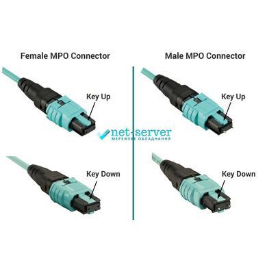 Фото Адаптер MPO, SM, Simplex, KeyUp-KeyDown з вухами LW-MPO-02 &ndash; купити з доставкою по Україні в інтернет-магазині Net-server
