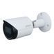 Kit: IP-camera 2 MP Dahua DH-IPC-HFW2230SP-S-S2 (2.8 mm) + IR-spotlight Lightwell LW9-100IR45-220 for video surveillance