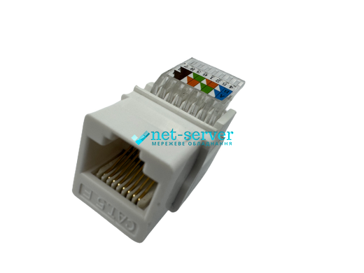 Photo of Keystone RJ-45 module, UTP, cat.5e, narrow, toolless &ndash; buy online with delivery across Ukraine at Net-server