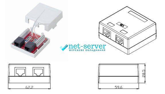 Фото Розетка зовнішня 2xRJ45, UTP, сat.6, PCB Type, Dual Type IDC, колір білий 166211211 &ndash; купити з доставкою по Україні в інтернет-магазині Net-server
