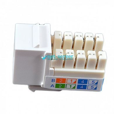 Фото Модуль RJ45, Keystone, UTP, cat.6, 110, W - 16.6 мм, EPNew 6KTVM-U0WH &ndash; купити з доставкою по Україні в інтернет-магазині Net-server