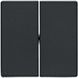 Photo of Key 2X, anthracite, Q.x Berker 16236086 &ndash; buy online with delivery across Ukraine at Net-server