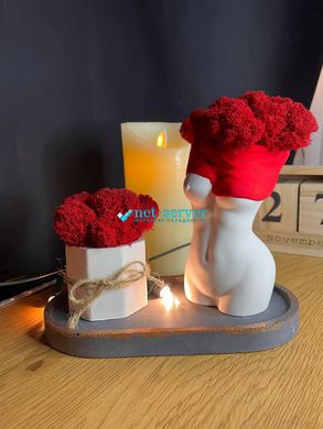 Flowerpot Sexy girl body set with stand red