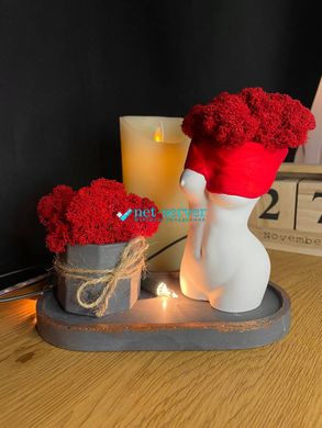 Flowerpot Sexy girl body set with stand red