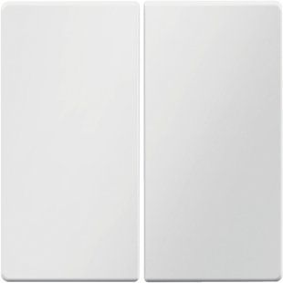 Photo of Key 2X, polar white, Q.x Berker 16236089 &ndash; buy online with delivery across Ukraine at Net-server