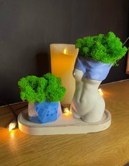 Flowerpot blue Sexy girl body set with stand green