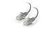 Фото Патч-корд 1м, RJ45, cat.6A, S/FTP, LSZH, серый Molex PCD-07000-0E &ndash; купить с доставкой по Украине в интернет-магазине Net-server