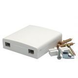 Фото Абонентська оптична розетка FTTH на 2 порти SC Simplex/LC Duplex, кріплення для патч-корду 3 мм, біла, SN-FOR-02-W &ndash; купити з доставкою по Україні в інтернет-магазині Net-server
