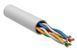 Photo of Twisted pair U/UTP cat.6 4PR CU 0.54 PVC Indoor 305m Dialan &ndash; buy online with delivery across Ukraine at Net-server