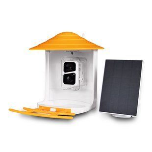 Photo of Feeder for birds Smart Bird Feeders with intelligent camera &ndash; buy online with delivery across Ukraine at Net-server