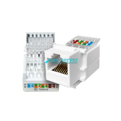 Фото Модуль RJ45, Keystone, UTP, cat.6, Electronical LW-KJ16-C6 &ndash; купити з доставкою по Україні в інтернет-магазині Net-server