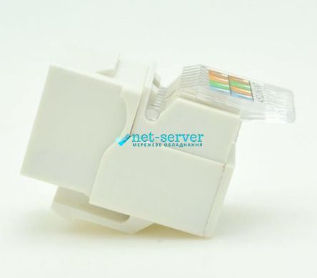 Фото Модуль Keystone RJ-45, UTP, cat.6А, вузький, Tooless, безінструментального &ndash; купити з доставкою по Україні в інтернет-магазині Net-server