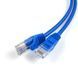 Photo of Patch cord 0.5m, UTP, cat.5e, RJ45, copper, blue CORD-0.5M-BLUE &ndash; buy online with delivery across Ukraine at Net-server